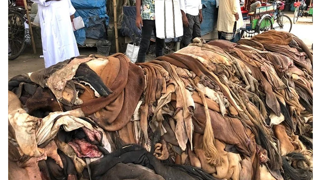 চামড়ার বর্জ্য থেকে জেলাটিন-কোলাজেন উৎপাদনে নতুন উদ্যোগ, পরীক্ষামূলক উৎপাদন শুরু