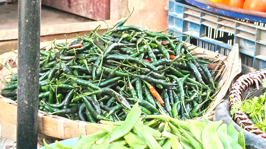 টানা বৃষ্টিতে কাঁচামরিচের ঝাল, কেজি ৩২০ টাকা