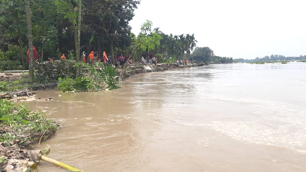 তিস্তার পানি বাড়ছে, কুড়িগ্রামের নিম্নাঞ্চল ও চর প্লাবিত