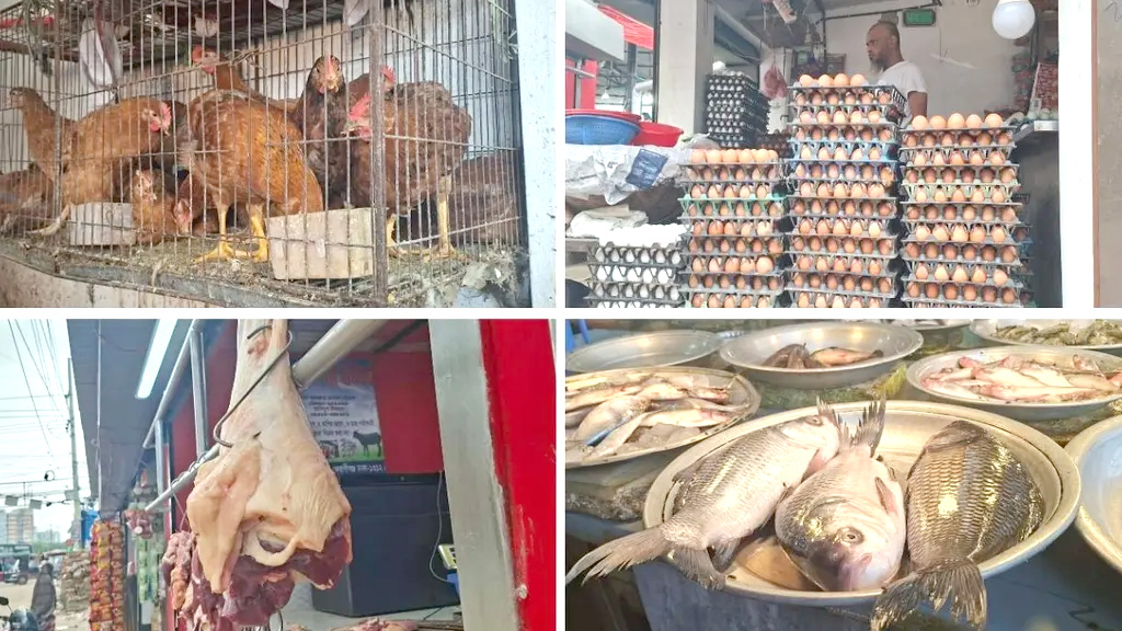 ব্রয়লার ১৮৫ টাকা কেজি, ডিমের ডজন ১৩৫ টাকা