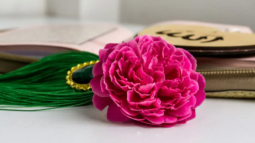 যে কারণে মায়ের আদেশ অমান্য করেছিলেন সাহাবি সাদ (রা.)