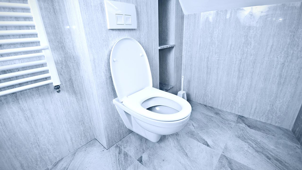 টয়লেটের দুর্গন্ধ দ্রুত দূর করার ৫ কার্যকর উপায়