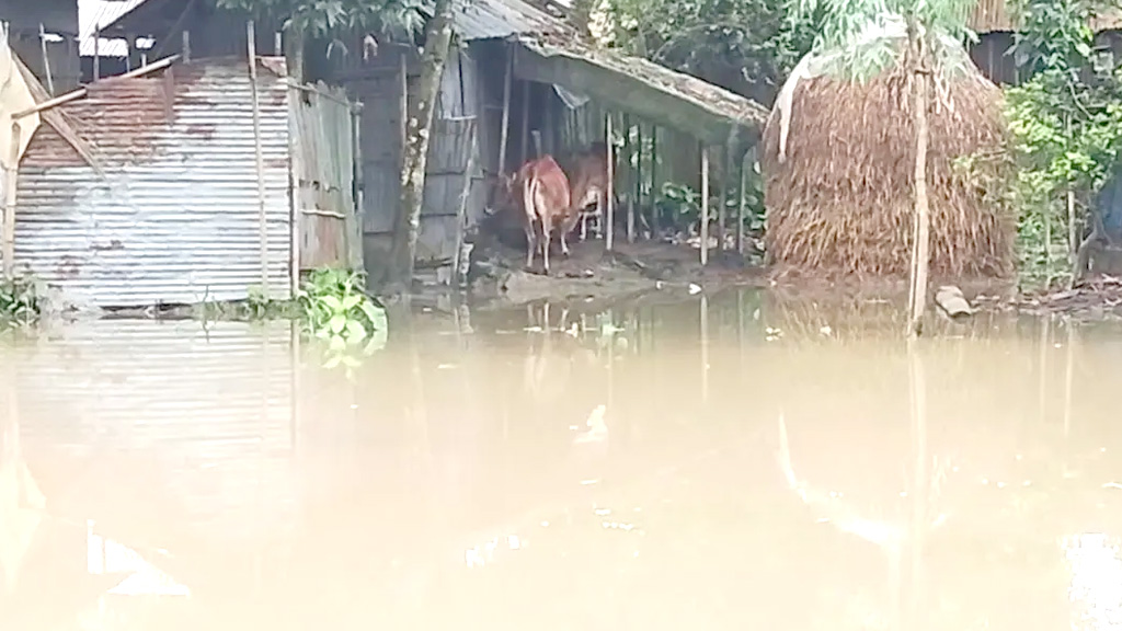 কুড়িগ্রামে পানিবন্দী ১০ হাজার মানুষ, বিপৎসীমার ওপর দুধকুমারের পানি