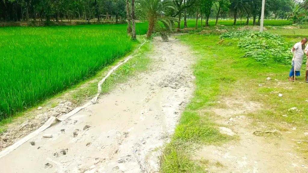 ত্রিশালে খাল দখল ও দূষণে বিপর্যস্ত কৃষকরা