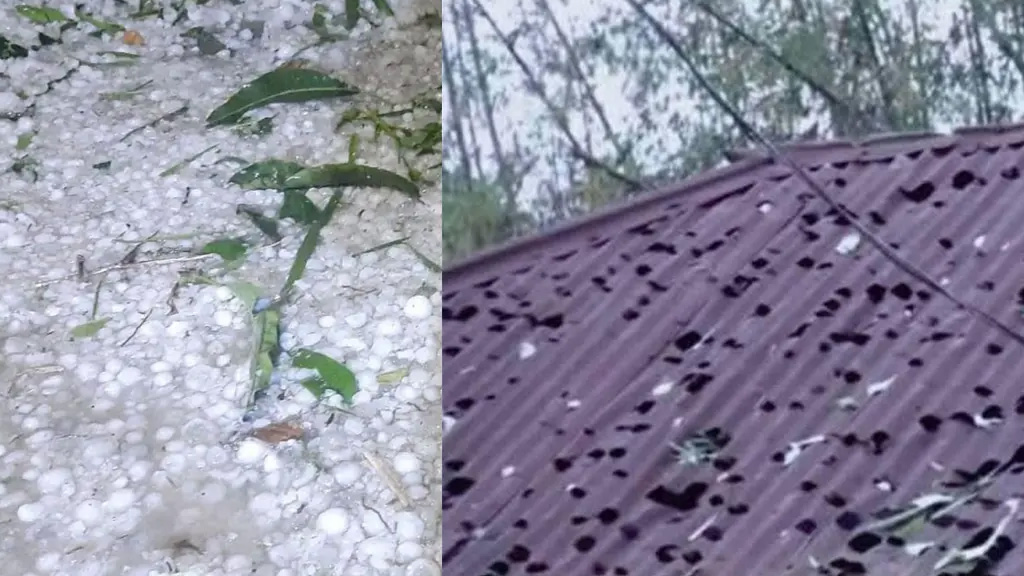 নীলফামারীতে কালবৈশাখী ও শিলাবৃষ্টিতে ফসলের ব্যাপক ক্ষতি