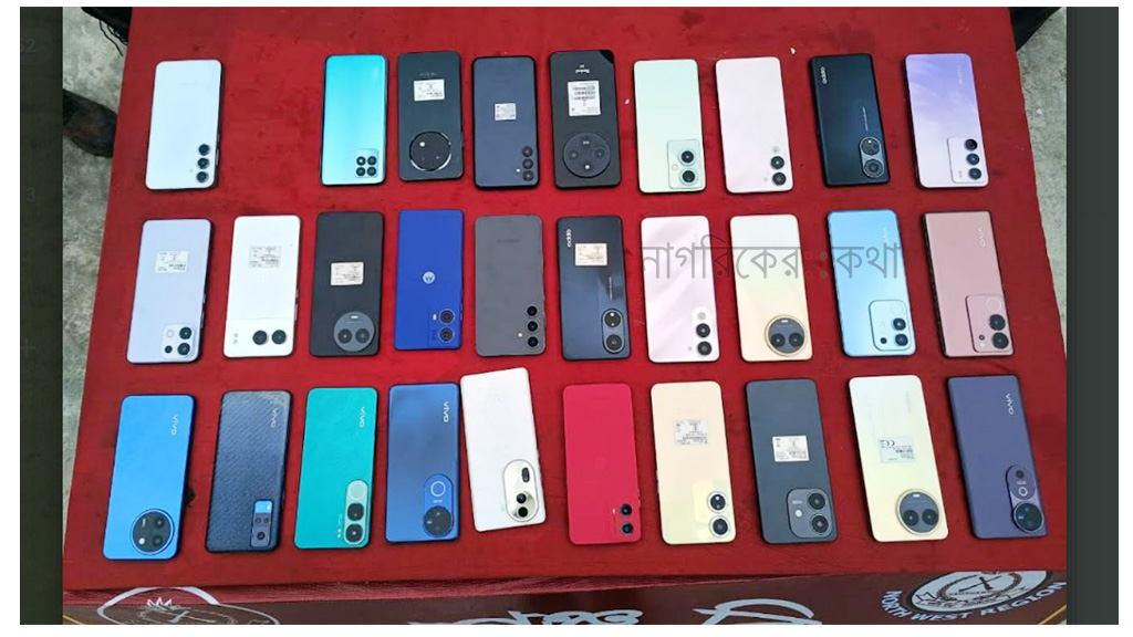 চাঁপাইনবাবগঞ্জ সীমান্তে ২৯টি ভারতীয় মোবাইল জব্দ