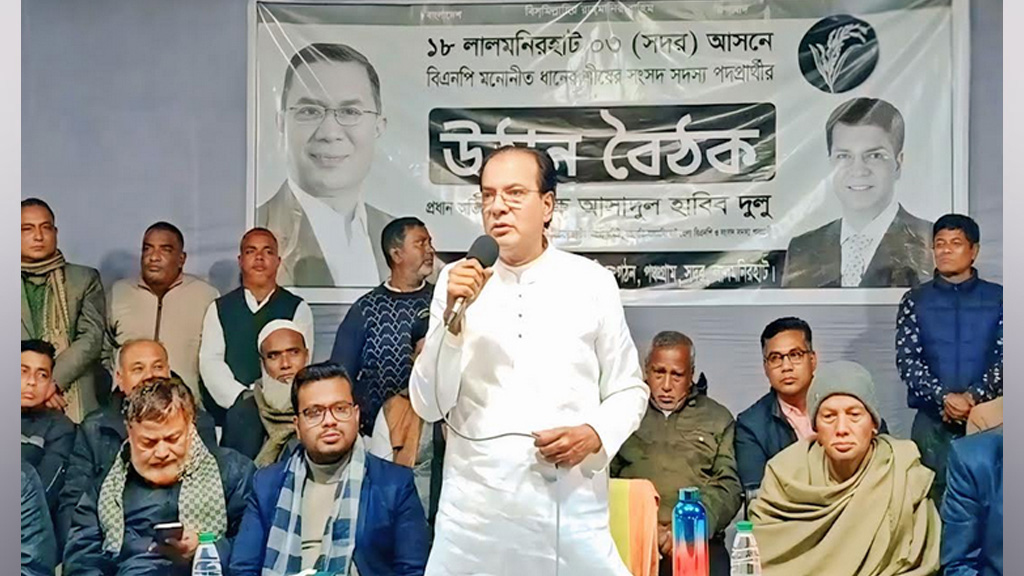 ১২ তারিখের পর আমি হবো আপনার পাহারাদার: আসাদুল হাবিব দুলু