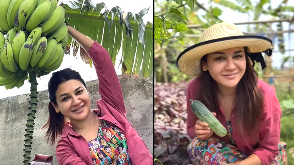 জয়া আহসানের বাগানে শসা-কলার উচ্ছ্বাস, ভক্তদের প্রেরণা দিলেন অভিনেত্রী