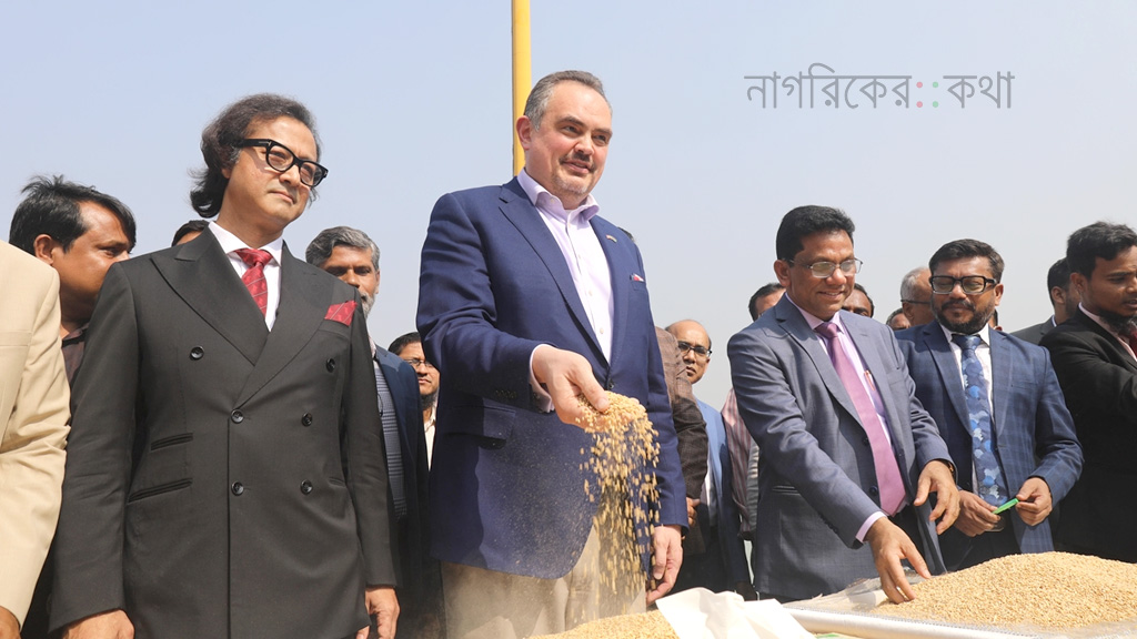 যুক্তরাষ্ট্র থেকে বছরে ৭ লাখ মেট্রিক টন গম কিনবে বাংলাদেশ