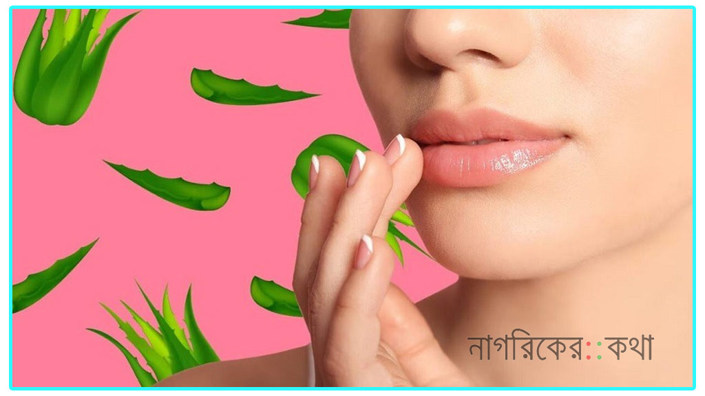 শীতে ঠোঁট ভালো রাখার ঘরোয়া উপায়