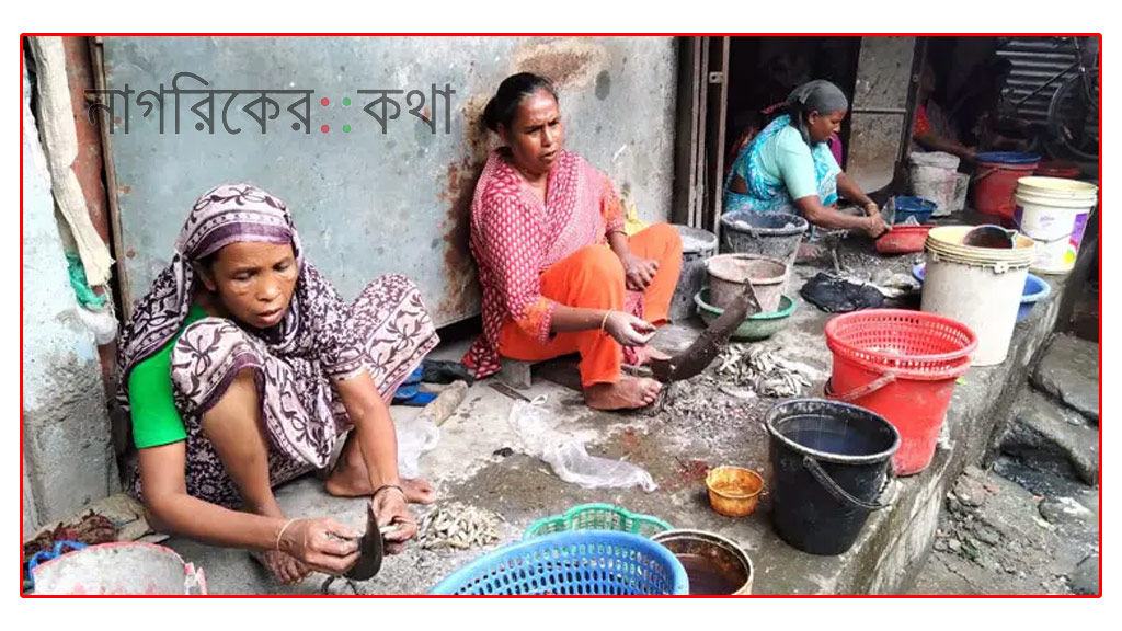 মাছ কেটে জীবিকা—রংপুরের নারীদের জীবনের গল্প