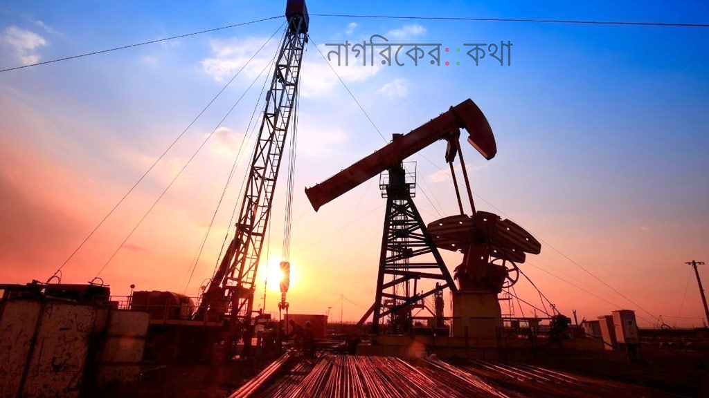 রাশিয়ান তেল কেনা বন্ধ করল ভারতের রিলায়েন্স