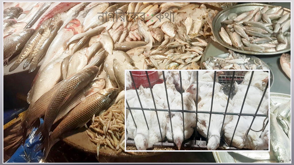 এক সপ্তাহে ব্রয়লারের দাম বাড়ল ২০ টাকা, মাঝারি ইলিশ কেজি ১৫০০