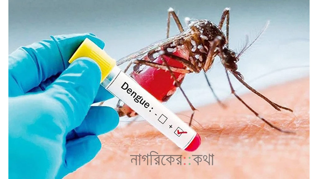 ডেঙ্গুতে আরো ৫ জনের মৃত্যু, হাসপাতালে ভর্তি ৩৮৭
