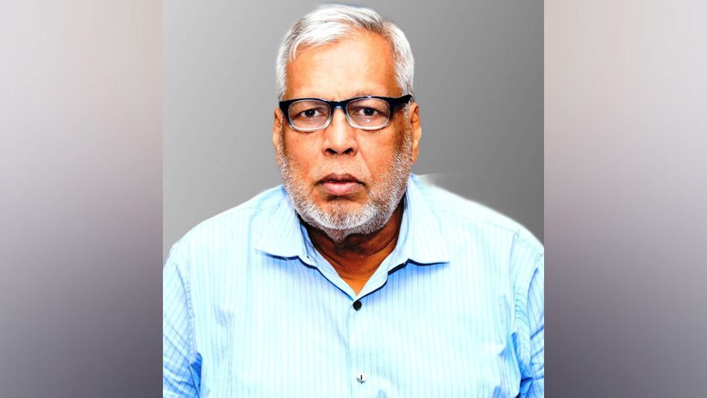 দুই বছরে বিদ্যুৎ–জ্বালানির কোনো প্রকল্প বাস্তবায়ন করা যায় না : উপদেষ্টা