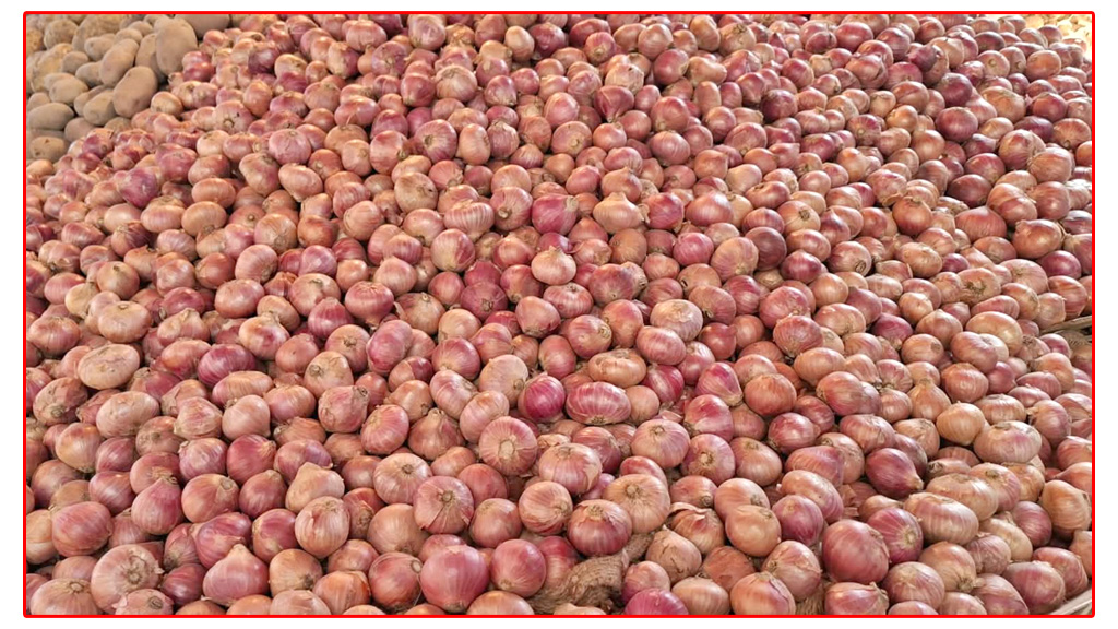 প্রথম রোজাতেই চড়া পেঁয়াজের দাম, কেজিতে বেড়েছে ১০–১৫ টাকা