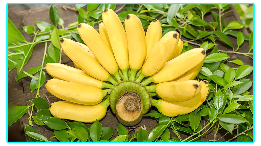 প্রতিদিন কলা খাওয়া কি নিরাপদ?