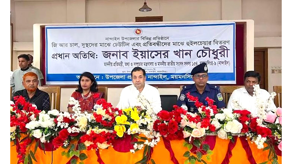দেশের কল্যাণে কাজ করে যাচ্ছে সরকার: তথ্য প্রতিমন্ত্রী